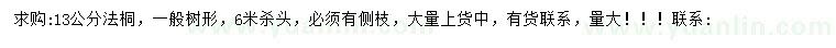 求購13公分法桐