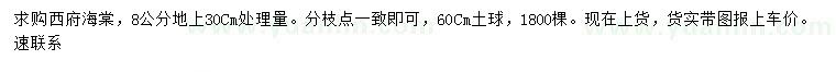 求購30公分處量8公分西府海棠
