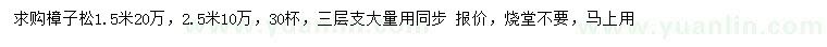 求購1.5、2.5米樟子松
