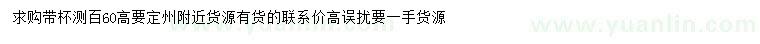 求購高60公分側柏