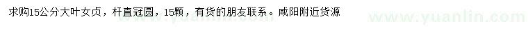 求購15公分大葉女貞