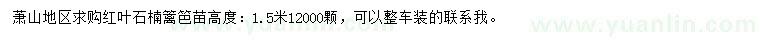 求購1.5米紅葉石楠