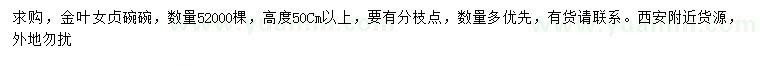 求購高50公分以上金葉女貞