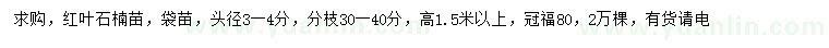 求購高1.5米以上紅葉石楠