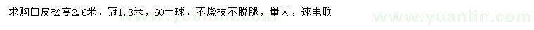求購高2.6米白皮松