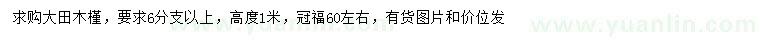 求購(gòu)高1米木槿
