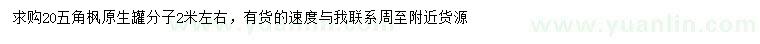 求購20公分五角楓