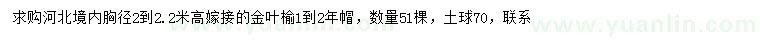 求購高2-2.2米金葉榆