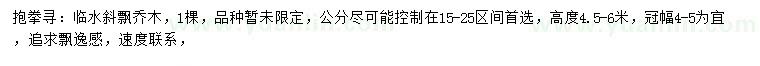 求購高4.5-6米斜飄喬木