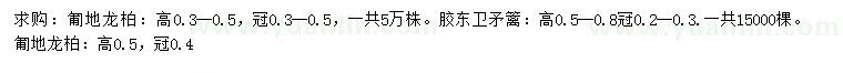 求購高0.3-0.5米匍地龍柏、高0.5-0.8米膠東衛(wèi)矛籬