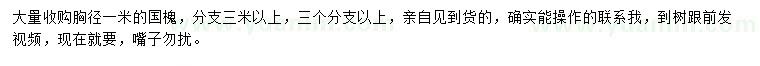 求購(gòu)胸徑1米國(guó)槐
