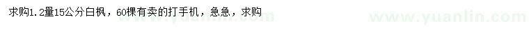 求購1.2米量15公分白楓