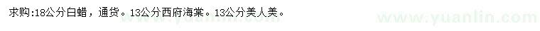 求購白蠟、西府海棠、美人梅