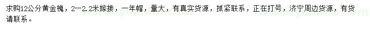 求購12公分黃金槐