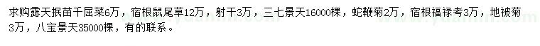 求購千屈菜、鼠尾草、三七景天等