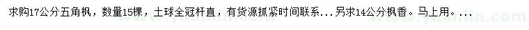 求購17公分五角楓