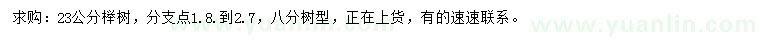 求購23公分櫸樹(shù)