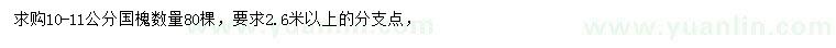 求購10-11公分國槐