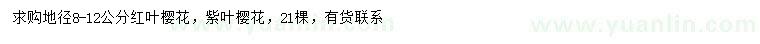 求購(gòu)地徑8-12公分紅葉櫻花、紫葉櫻花