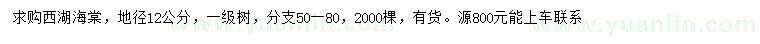 求購地徑12公分西湖海棠