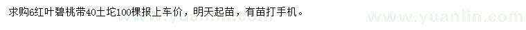 求購6公分紅葉碧桃