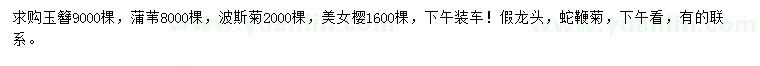 求購玉簪、蒲葦、波斯菊等