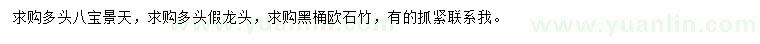 求購八寶景天、歐石竹