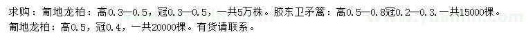 求購(gòu)冠幅0.3-0.5、0.4米匍地龍柏、冠幅0.5-0.8米膠東衛(wèi)矛