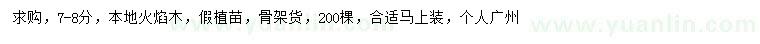 求購7-8公分火焰木