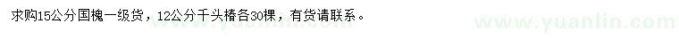 求購15公分國(guó)槐、12公分千頭椿