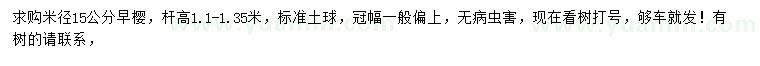 求購米徑15公分早櫻