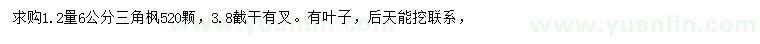 求購1.2米量6公分三角楓