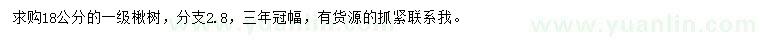 求購18公分楸樹