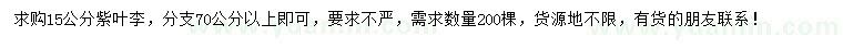 求購15公分紫葉李