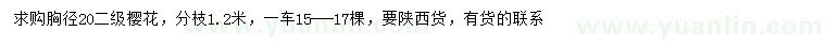 求購胸徑20公分櫻花