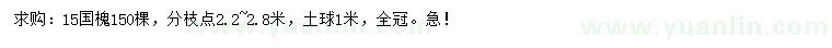 求購15公分國槐