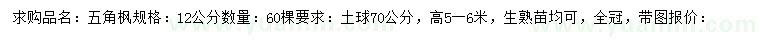 求購12公分五角楓