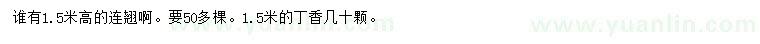 求購(gòu)高1.5米連翹、丁香