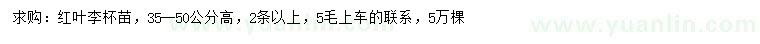 求購(gòu)高35-50公分紅葉李