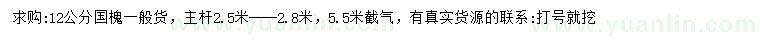 求購12公分國槐
