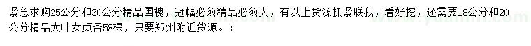 求購(gòu)25/30公分國(guó)槐、18/20公分大葉女貞