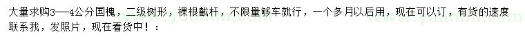 求購3-4公分國槐