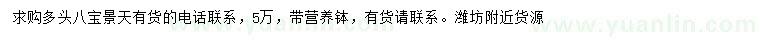 求購八寶景天