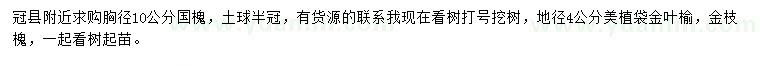 求購國槐、金葉榆、金枝槐