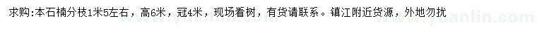 求購(gòu)冠幅4米本石楠