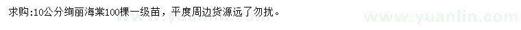 求購10公分絢麗海棠