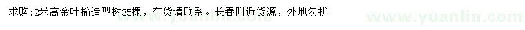 求購高2米金葉榆