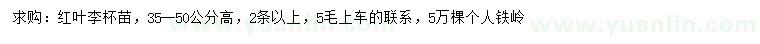 求購(gòu)高35-50公分紅葉李