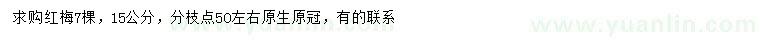 求購15公分紅梅