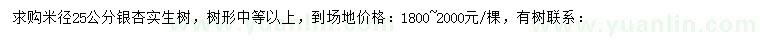 求購米徑25公分銀杏